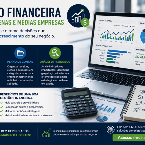 Gestão financeira para pequenas e médias empresas: a base para o crescimento sustentável